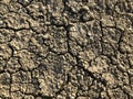 Cracked dry ground mud, dried under sun road close up Royalty Free Stock Photo