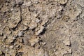 Cracked dry ground surface texture background with small gravel details Royalty Free Stock Photo