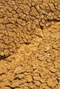 Cracked dry ground texture Royalty Free Stock Photo
