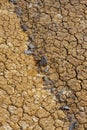 Cracked dry ground texture Royalty Free Stock Photo