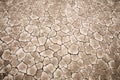 Cracked dry ground texture Royalty Free Stock Photo