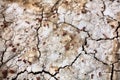 Cracked dry ground texture Royalty Free Stock Photo