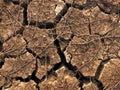 A cracked dry ground texture and background. Royalty Free Stock Photo