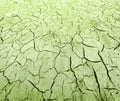 Cracked dry ground texture Royalty Free Stock Photo