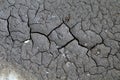 Cracked dry mud Royalty Free Stock Photo