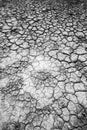 Cracked dry silt