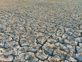 Cracked Dry Soil or Ground in the Agriculture Field with Chopped Paddy Rice Plants or Residues, Fertile Green Plant in the Desert Royalty Free Stock Photo