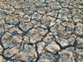 Cracked Dry Soil or Ground in the Agriculture Field with Chopped Paddy Rice Plants or Residues, Fertile Green Plant in the Desert Royalty Free Stock Photo