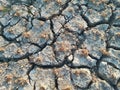 Cracked Dry Soil or Ground in the Agriculture Field with Chopped Paddy Rice Plants or Residues, Fertile Green Plant in the Desert Royalty Free Stock Photo