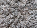 Cracked dry soil texture background, close up Royalty Free Stock Photo