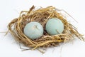 Cracked duck egg in the hay nest Royalty Free Stock Photo
