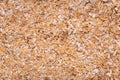 Cracked Durum Wheat Background Texture