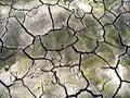 Cracked earth Royalty Free Stock Photo