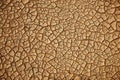 Cracked Earth Background