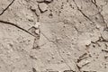 Dry cracked earth during drought and disaster