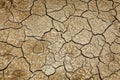 Cracked earth background texture Royalty Free Stock Photo