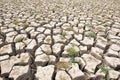 Cracked earth and barren Royalty Free Stock Photo