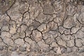 Cracked earth, cracked soil. Texture of grungy dry cracking parched earth. Global warming effect. Royalty Free Stock Photo