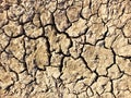 Cracked earth. Cracks in dry ground. Drought.