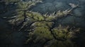 Cracked Earth: A Dark And Moody Aerial View Of A Desolate Wetland