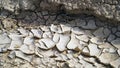 Cracked earth in dry desert. Desert with cracked ground. background, texture, The surface of the arid soil, and there are fissures Royalty Free Stock Photo