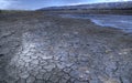 Cracked earth near a drying pond