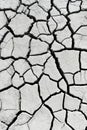 Cracked earth near mud volcanoes Royalty Free Stock Photo