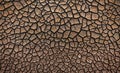 Cracked Earth Pattern Texture as nature abstract background Royalty Free Stock Photo