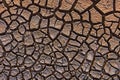 Cracked Earth Pattern Texture as nature abstract background Royalty Free Stock Photo