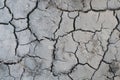 Cracked earth after rain in arid areas Royalty Free Stock Photo