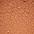 Indicative of dry, desiccated landscapes often found in deserts Royalty Free Stock Photo