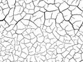 Cracked earth Royalty Free Stock Photo