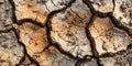 Cracked Earth Texture Arid Land Surface Detail Royalty Free Stock Photo