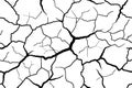 Cracked Earth Texture in Black and White Royalty Free Stock Photo