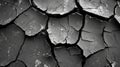 Cracked Earth Texture in Black and White Royalty Free Stock Photo