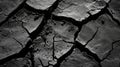 Cracked Earth Texture in Black and White Royalty Free Stock Photo