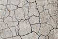 dry cracked earth cracked earth texture