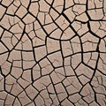 1427 Cracked Earth Texture: A textured and rugged background featuring a cracked earth texture with dry and arid patterns, addin