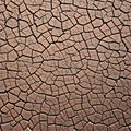 1427 Cracked Earth Texture: A textured and rugged background featuring a cracked earth texture with dry and arid patterns, addin