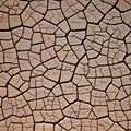 726 Cracked Earth Texture: A textured and weathered background featuring cracked earth textures in rugged and desert tones that