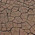 726 Cracked Earth Texture: A textured and weathered background featuring cracked earth textures in rugged and desert tones that