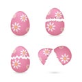 Cracked easter eggs with flowers set Royalty Free Stock Photo