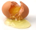 Cracked egg Royalty Free Stock Photo