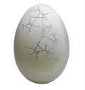 Cracked egg isolated n white background. 3D rendering.