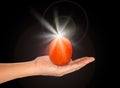 Cracked egg and light on female hand Royalty Free Stock Photo