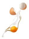 Cracked egg shell revealing egg yolk and white Royalty Free Stock Photo