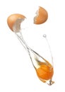 Cracked egg shell revealing egg yolk and white Royalty Free Stock Photo
