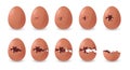 Cracked eggs animation. Cartoon broken damaged chicken eggshell halfs, organic food flat elements with steps for GUI