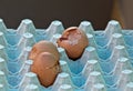 Cracked eggs