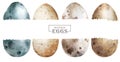 Cracked eggshell. Watercolor hand drawn set egg shell halves over white isolated background. Easter collection Royalty Free Stock Photo